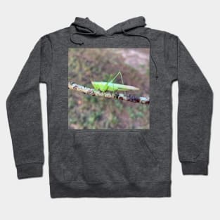 Grasshopper Hoodie